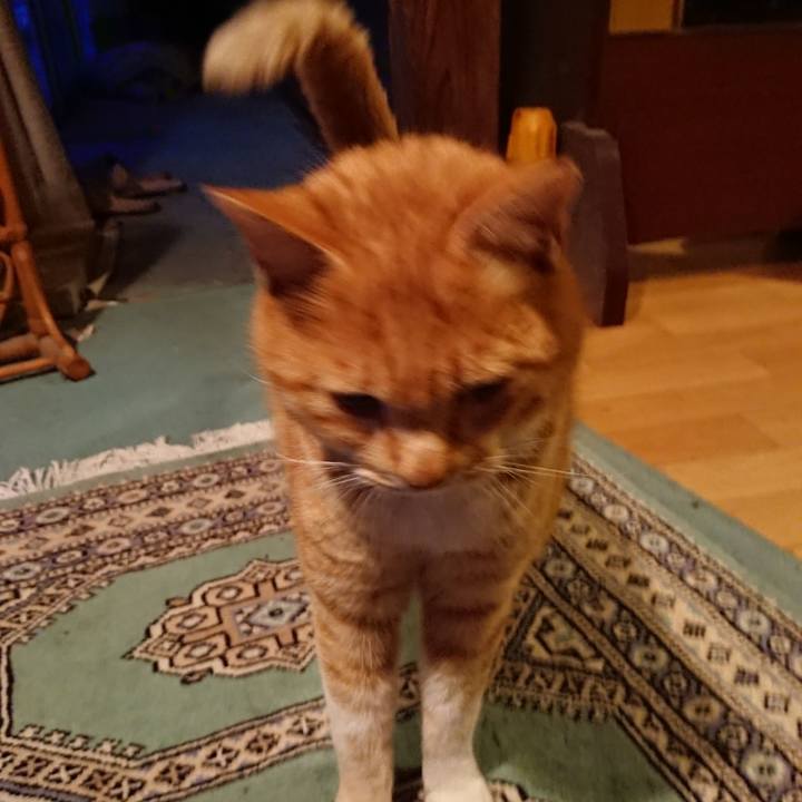 B64c6f63 166c 4b8e 9aa4 54ff6be68173 1581325177675