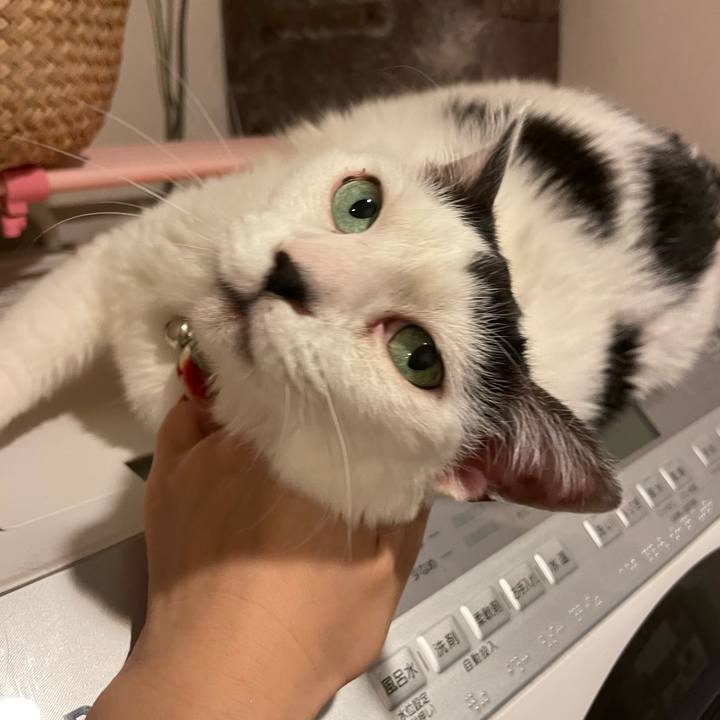 B64ca180 1119 4ee9 ade9 51192bb35ace 1751545820293