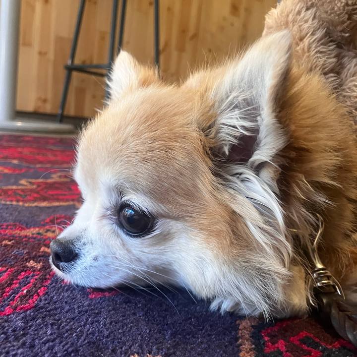 B64ceca1 4f4f 4850 9a7d 3c5ebe2c8a64 1769664868807