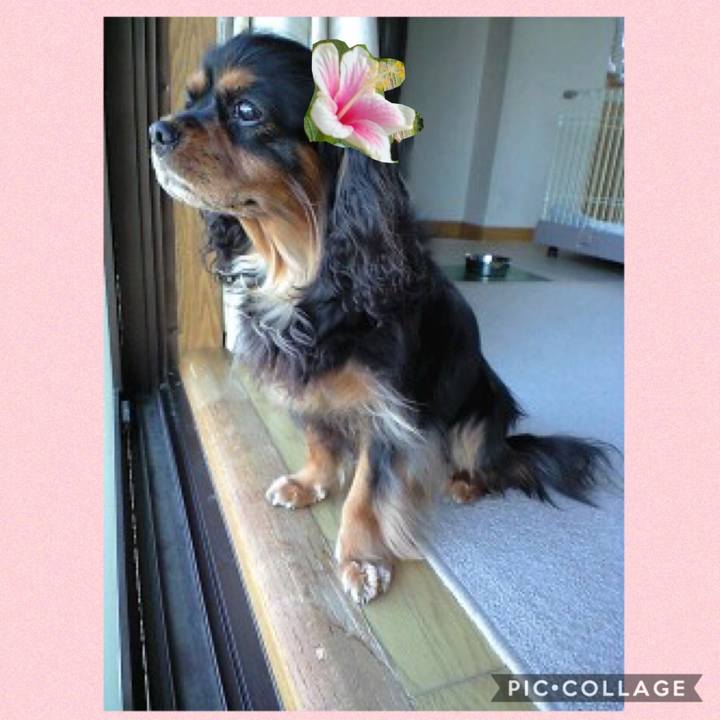 B64cf0d3 46ab 4d66 abb7 5143bb9bd415 1593231596805