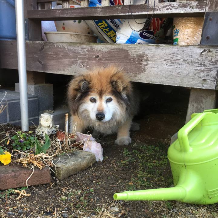 B64d3187 7c3a 4b9e a955 40d27cc467ef 1552443241379