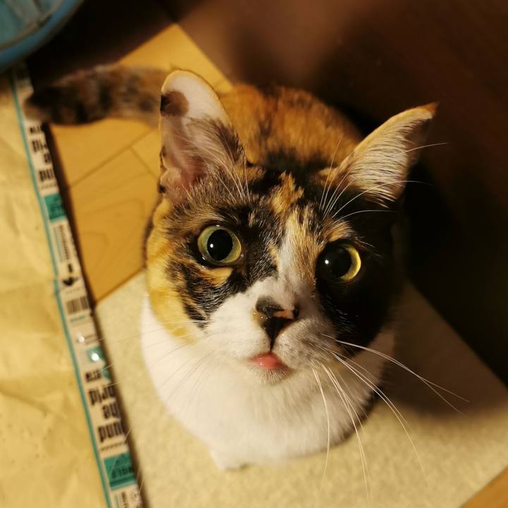 B64d54ba 4864 492b 8f53 734109eddc39 1670128207354