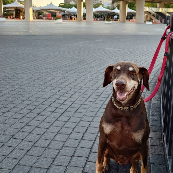 B64d5b81 b8bf 4f83 b96d 7550b995cd6b 1764126082270