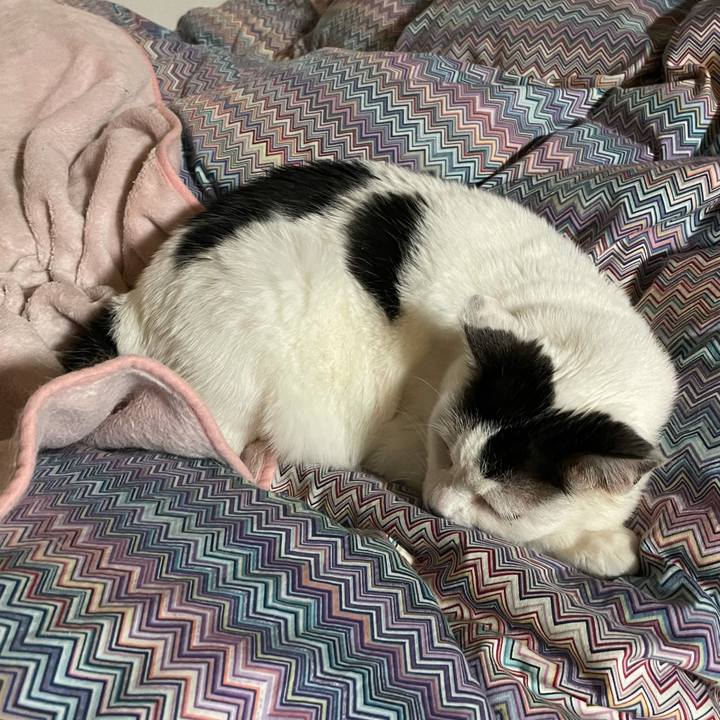 B64d8061 d41a 489d a665 60d82c1d52df 1618148829469