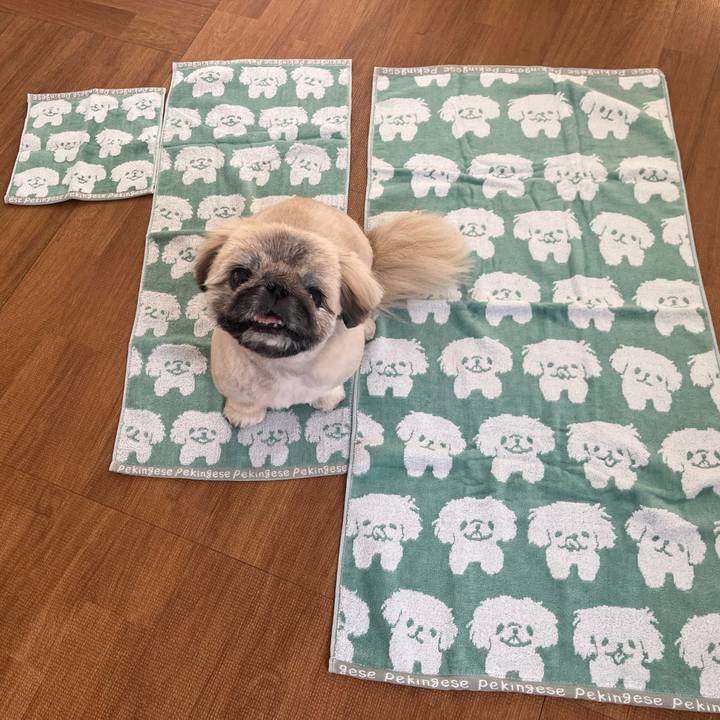 B64d83dd af9f 436c aee2 d5fa9d97b1d0 1733440898378