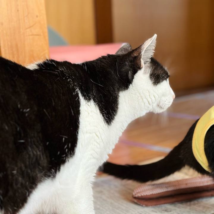 B64d8691 a64e 4e58 8549 25cf6892c52c 1719977617165