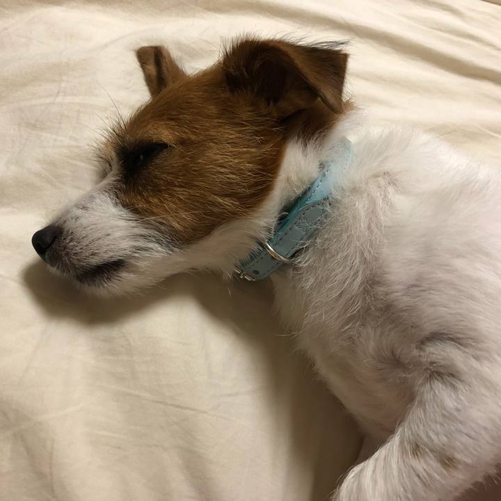 B64df32f bd5f 4156 9197 b1db607dca39 1532869971580