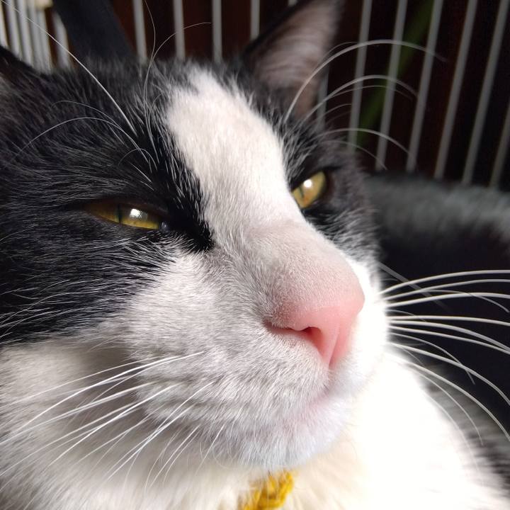 B64e2ab5 51bc 42bd 9321 7816f01f0e3f 1645947497341