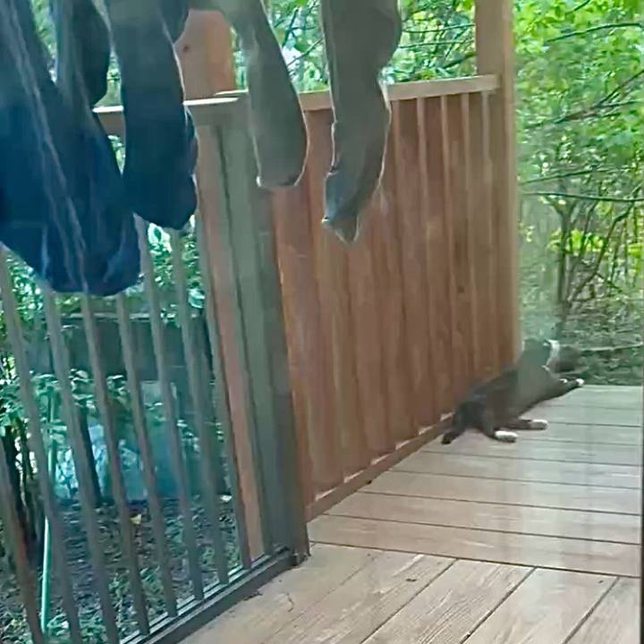 B64e2ac9 9caf 445c b615 679afa787c31 1751707986714