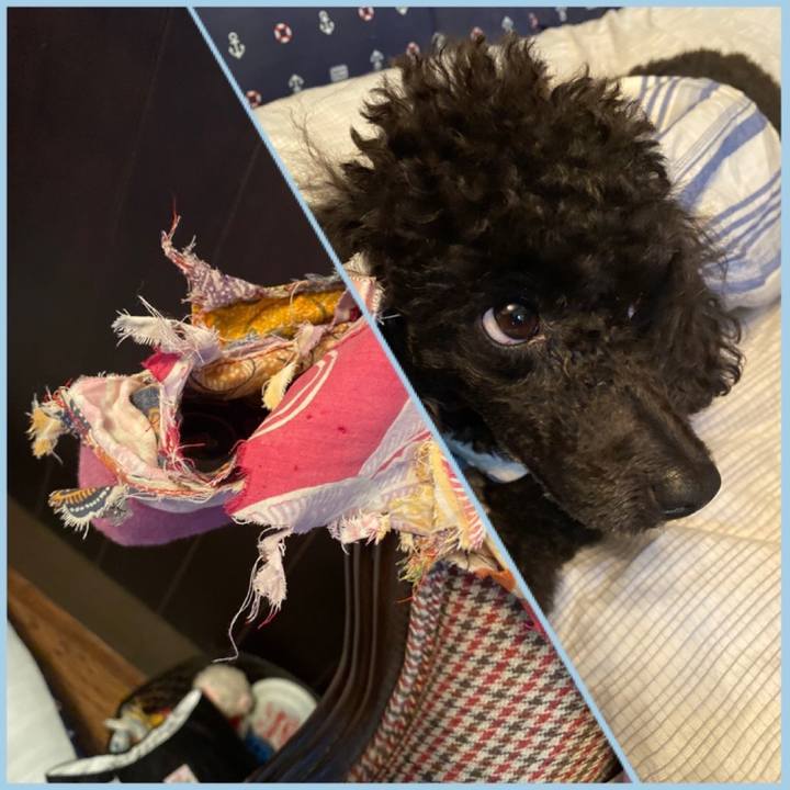 B64e6b66 d9f3 4db1 94c1 73238351bb5f 1595293506729