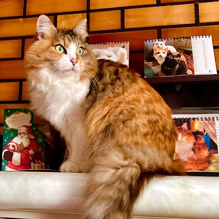 B64e6c21 96da 4c04 8527 c40c6b499ffe 1673061363878