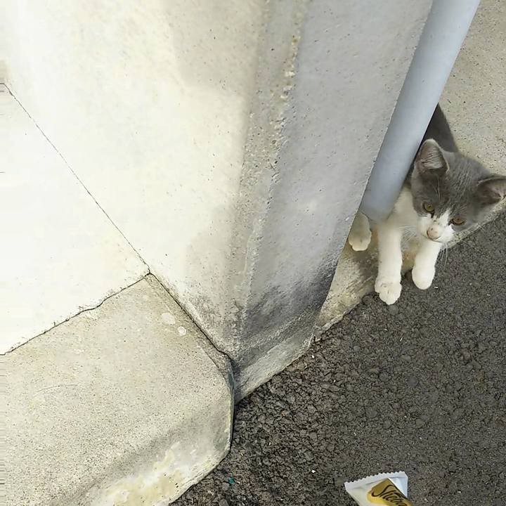 B64eb38c beb2 463f 816b 2b5fae87d34d 1530570503402