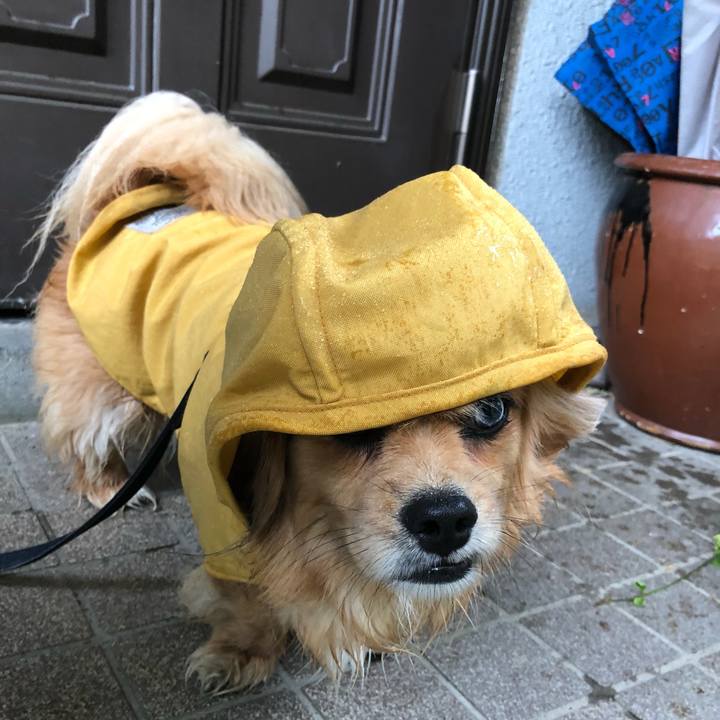 B64ebd80 ff35 484e 97a0 67d3107a1b98 1560035884622