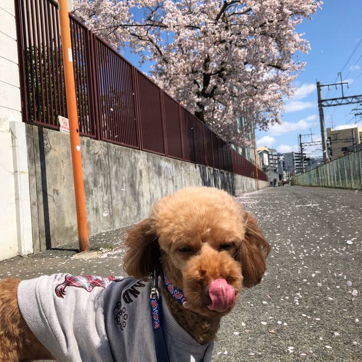 B64f1d8f 9879 47db ae96 27d979206440 1586072960962