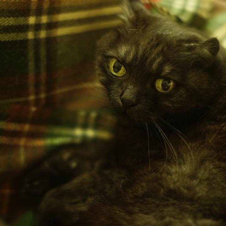 B64f4f1e 1a5e 4c31 b81e d8d83a434814 1523544849552