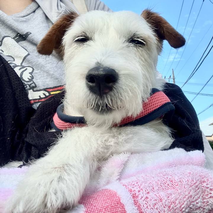 B64f9f0f a168 4873 8dec 76b42b2559f7 1750396010765