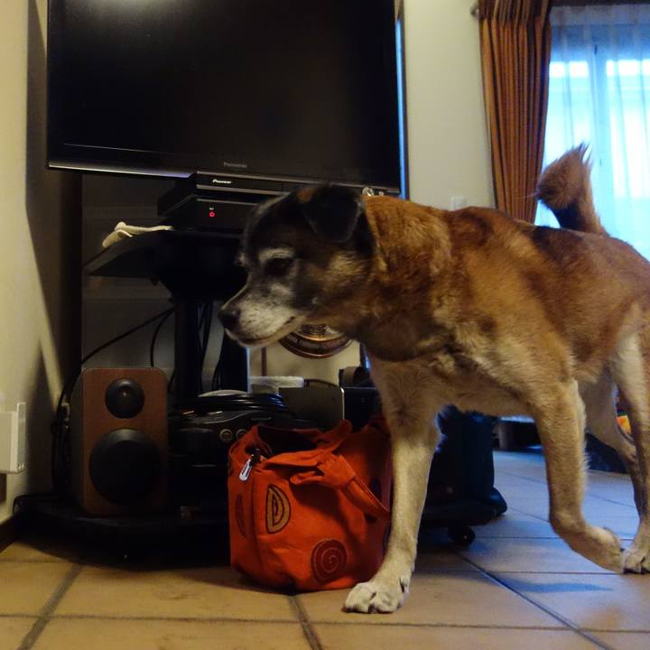 B64fb35b eee7 40e6 a030 00021dd5c86c 1546129686737