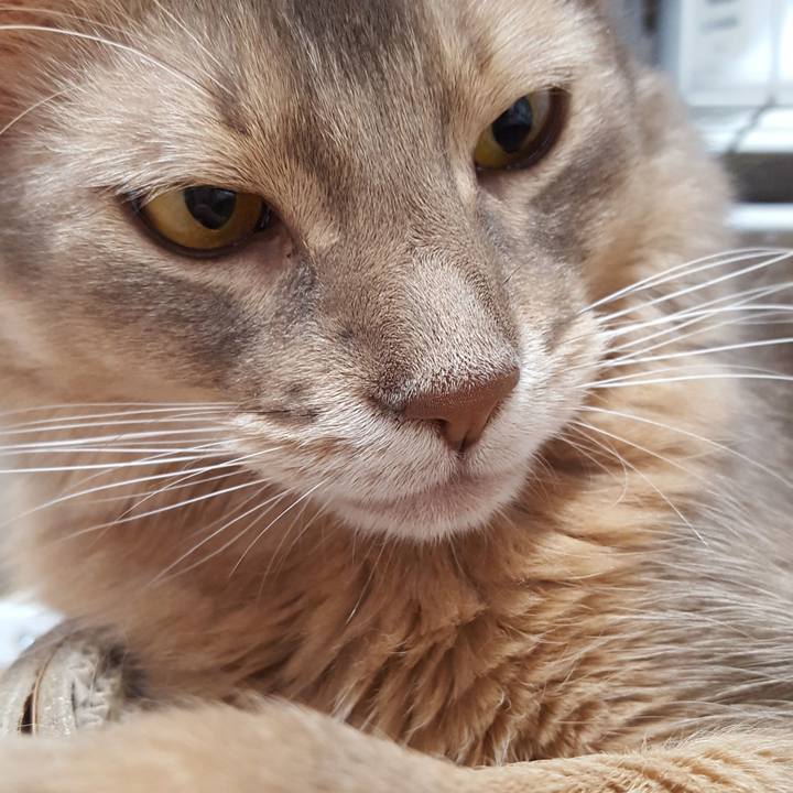 B64fbca7 900e 4bb7 ba9e f28f7eaaef61 1572071314105