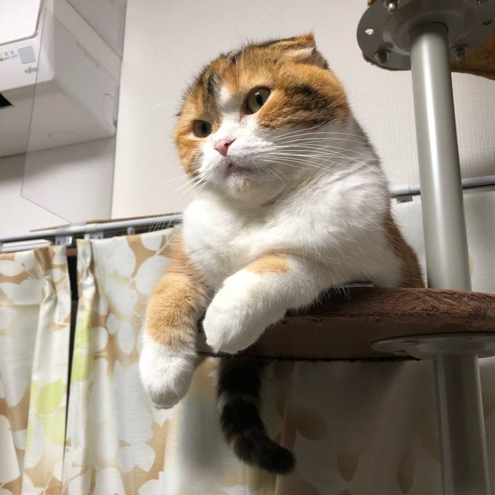 B64fc134 5da0 46f9 867e 72ab6467980b 1578736154197