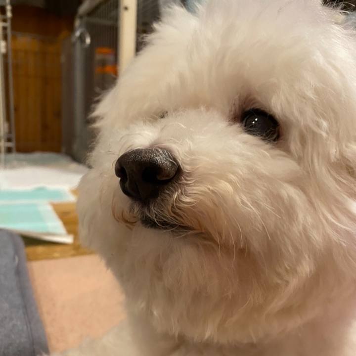 B64fe2af a7a1 438f bdc0 d4bdaebb84cd 1748865238570