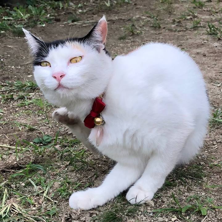 B64fe913 bebf 4e1e bb0f 659ffb22b187 1632135679896