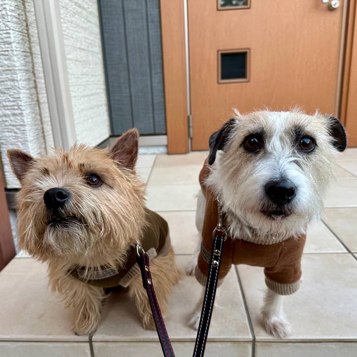 B64ffac2 0b3a 412d b68a 17d24dd91f33 1768048748421