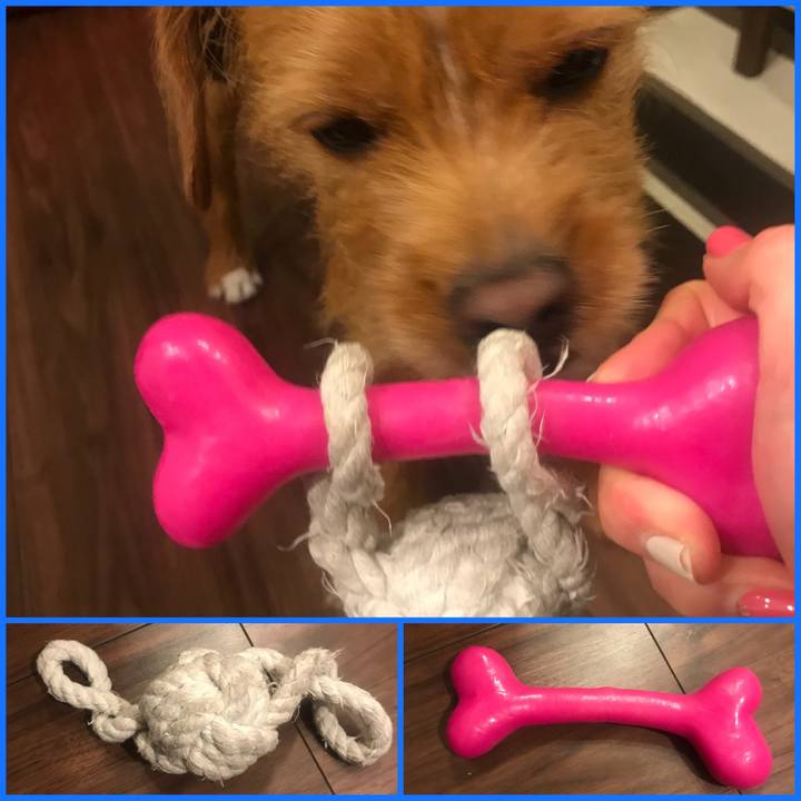 B64ffeab b0d8 45b0 8486 a2074c1e3768 1548326674017