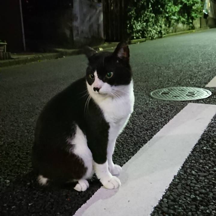 B6501aac 49bc 49e9 8c22 3a102d4b6e7c 1539522741681