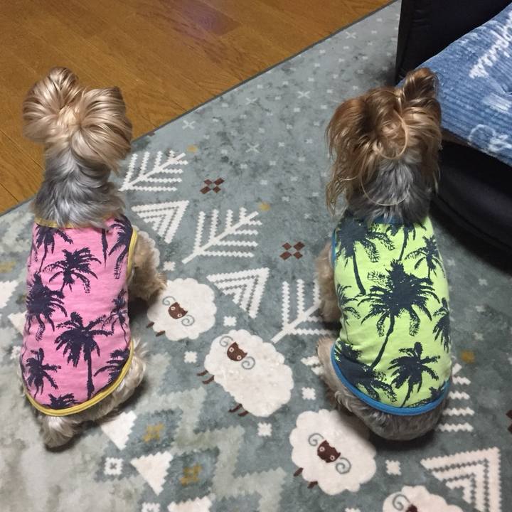 B6502cd6 facc 4939 9e11 8bbc6d7a3d05 1543631104164