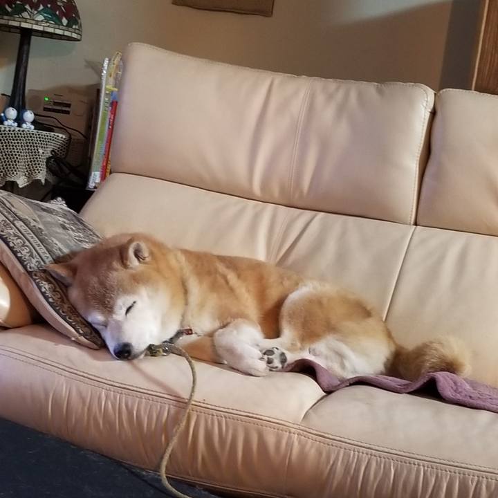 B6503010 5bff 4a3d 8641 4a3ed2c216fd 1700475921637