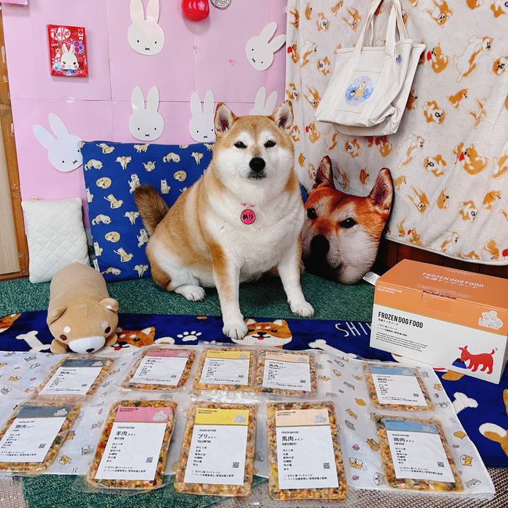 B65032f0 cfee 4bce b67a a610d548edb3 1678947207418