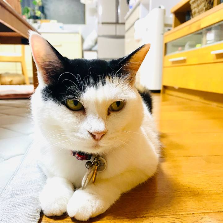 B65033fc 1a1e 442b b6eb 1928ba62ee5a 1721302312376