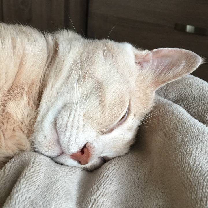 B650898f d559 4166 b1d1 07abc080e64e 1562054511042