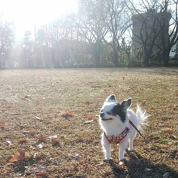 B6509b84 b888 48ed 97cb ae1c928b5a56 1513493800834