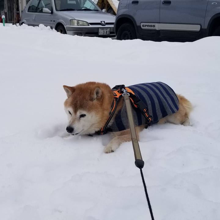 B650b97b 1b94 4fce 8e9c 97ecd2da57c6 1706327206974