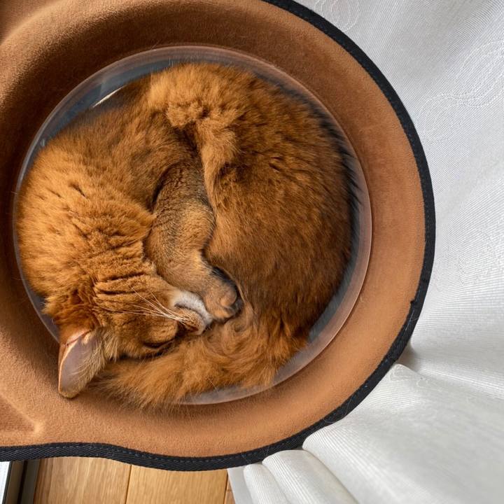 B650dfa7 aaff 4637 acc3 43d1dc789e83 1640323249082