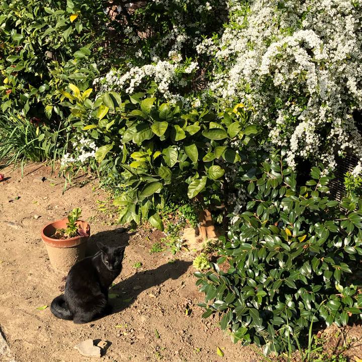 B650eb5a 591c 4471 bbf9 365027c15a13 1553089408426