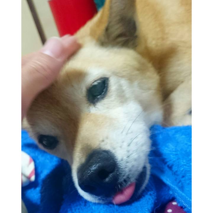 B6510a14 e2f3 4060 b10b 25277553cabc 1555167614707