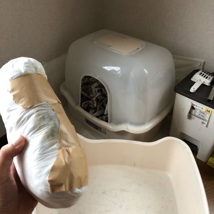 B6510fcc 8e82 4d47 a4b3 4c96a547fca4 1598740104459