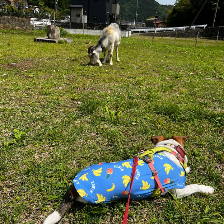 B65111d9 0f83 4414 b8a0 7e654972dddc 1747054598468