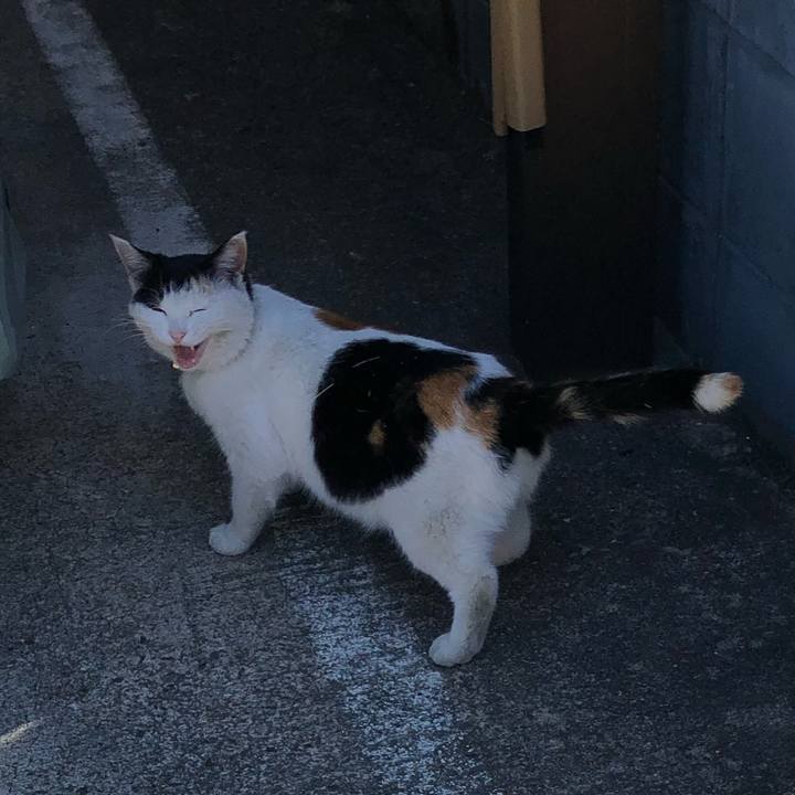 B6513173 3ed3 42b9 9a50 a485a537aebe 1606882469824