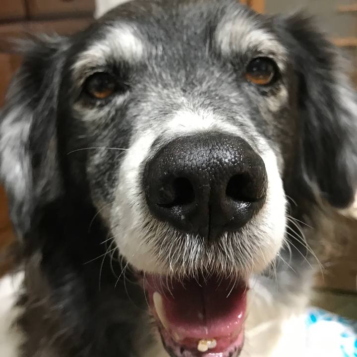 B651481f f712 4152 924b 9d7cbed54742 1523662725895