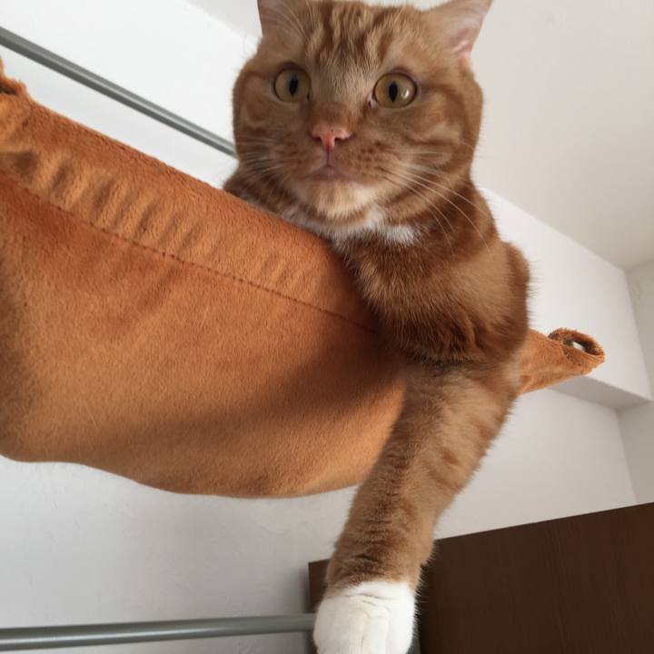 B6517fba 6649 4531 a966 80fa3c744bad 1541033860295