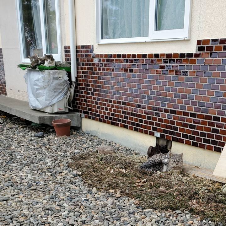 B6518bc6 1ea7 423a 8b47 0fb13d8a8f0b 1712660738210