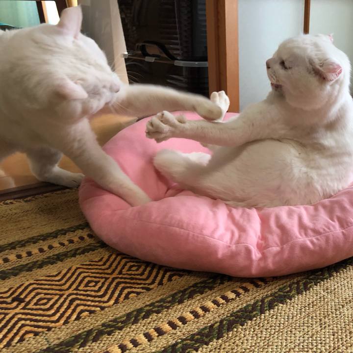 B651a194 e39d 4f87 8f6f 04b79deafe9a 1577764695767