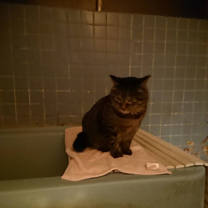 B651a32c c34e 4fbe afd3 30e96cffad48 1644664942364