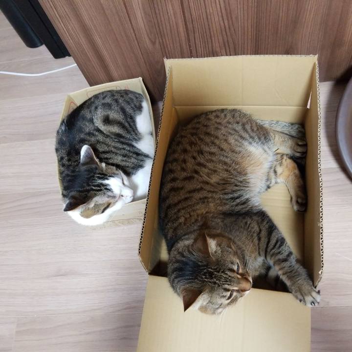 B651b029 5806 4677 8f44 4f5c775073b7 1589140396574