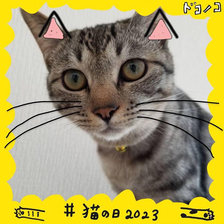 B651c09f d3c0 45e2 b00a 474f50cb69f0 1677042610749