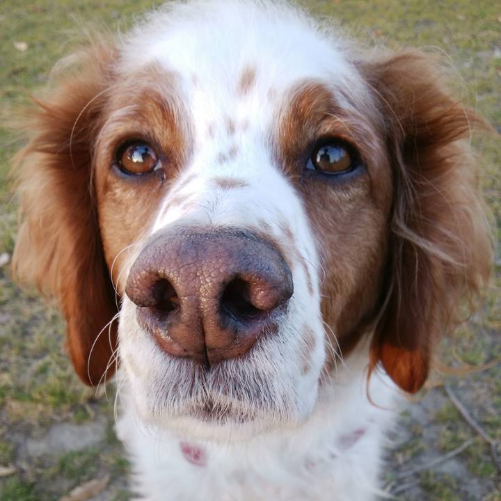 B651d953 4ef3 4e2b a35c 0adf02dbd47d 1550479867488