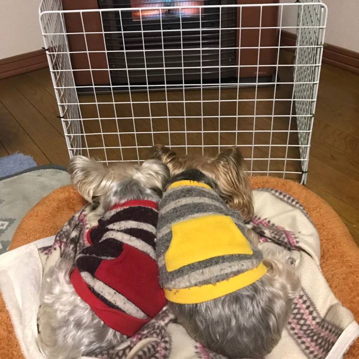 B651e36f a9e2 4887 ab63 7a9aa78148ec 1574243558801